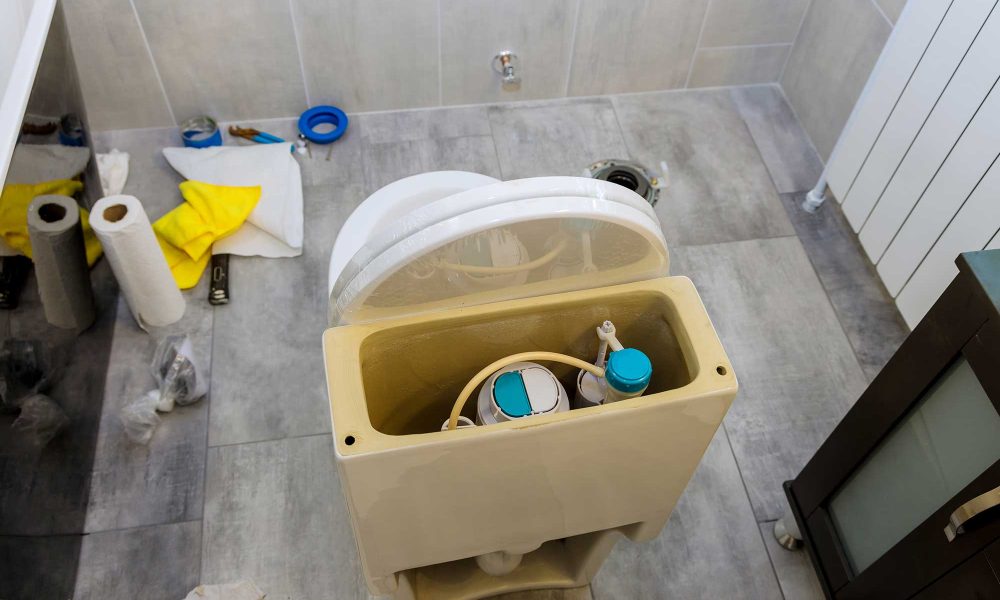 Toilet Repair
